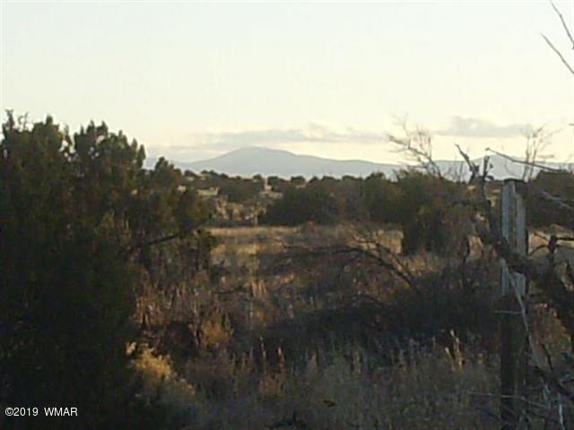Lot 28 Mountain View Springerville, AZ 85938 - Photo 3 of 5