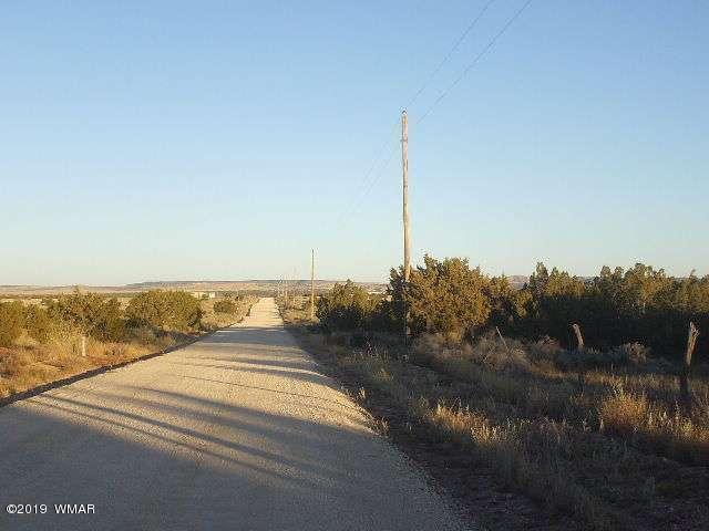 Lot 28 Mountain View Springerville, AZ 85938 - Photo 4 of 5