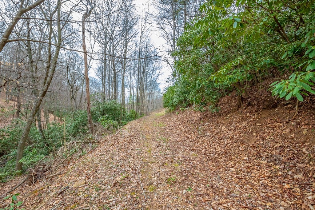 3-acres Winding Ridge Road, Unit 14C Hillsville, VA 24343 - Photo 26 of 35 Gallery Image 26