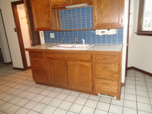1255 183rd Street Homewood, IL 60430 - Photo 6 of 10 Gallery Image 6