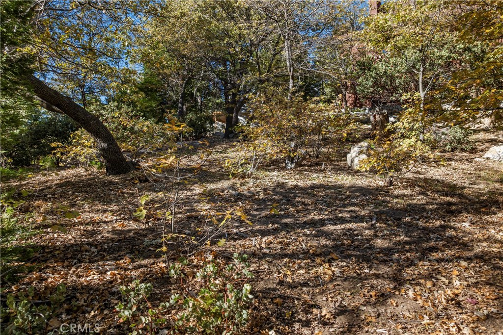 0 Pioneer Road Lake Arrowhead, CA 92352 - Photo 11 of 15 a view of a tree