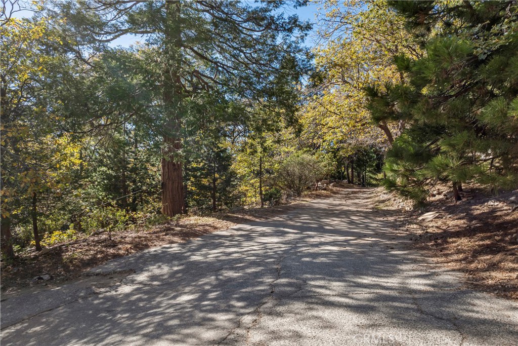 0 Pioneer Road Lake Arrowhead, CA 92352 - Photo 6 of 15 a view of a forest