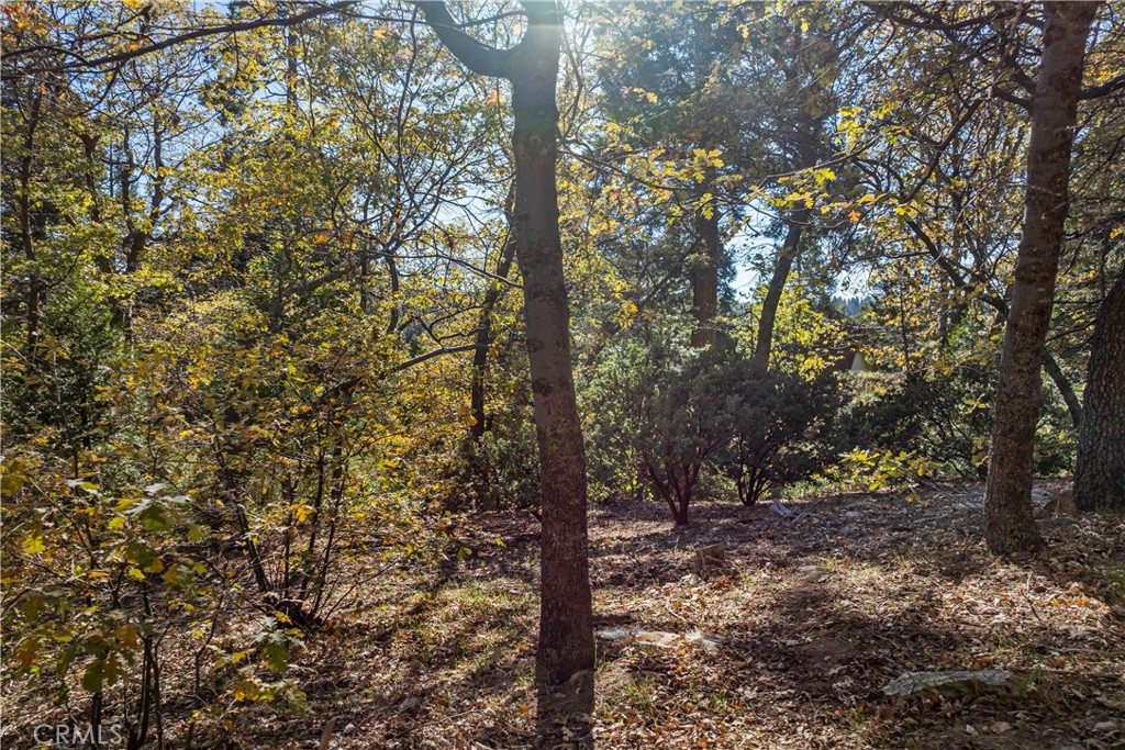 0 Pioneer Road Lake Arrowhead, CA 92352 - Photo 8 of 15 a view of a forest with trees