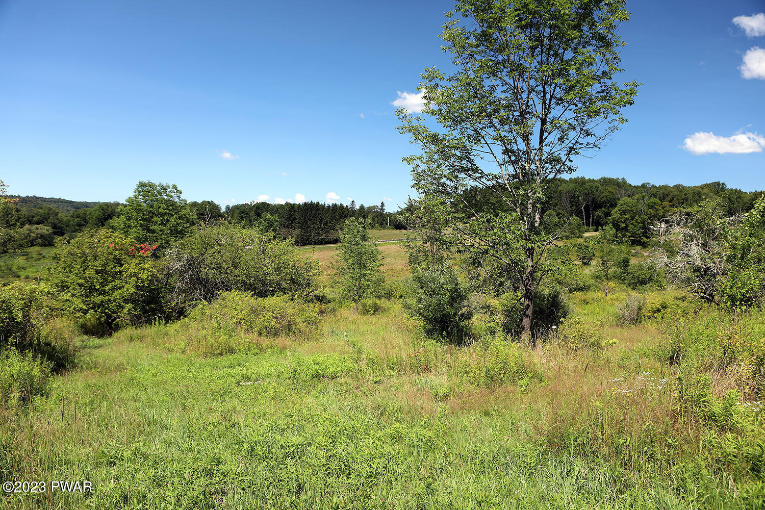 178 Baldwin Hill Road Damascus, PA 18415 - Photo 25 of 38