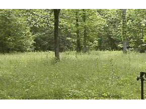 4421 West Tramway Road Bloomington, IN 47403 - Photo 4 of 6 Gallery Image 4