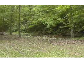 4421 West Tramway Road Bloomington, IN 47403 - Photo 6 of 6 Gallery Image 6