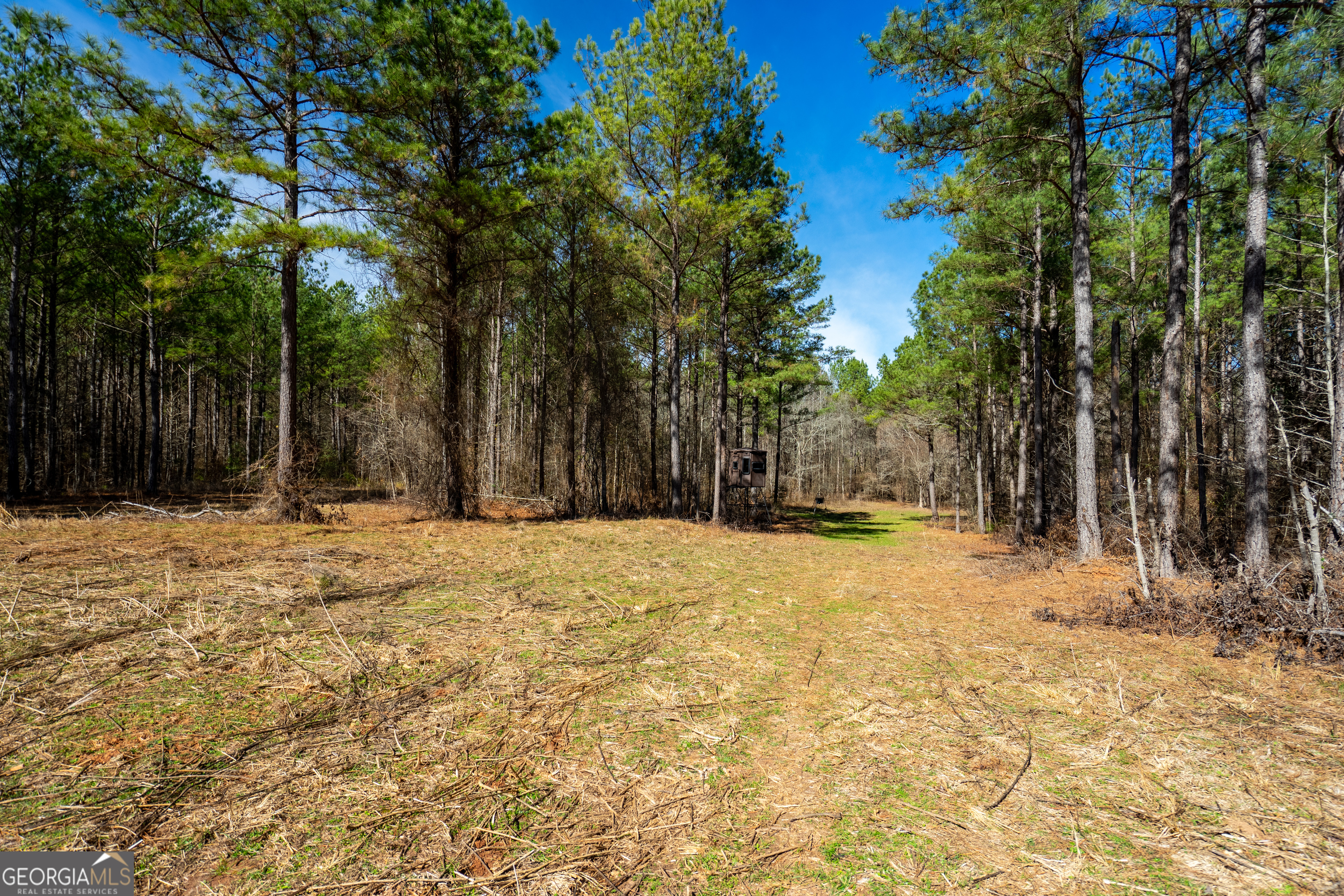 0 Keith Road Hogansville, GA 30230 - Photo 28 of 41