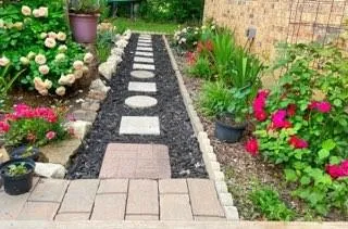 a picture of flowers and flowers