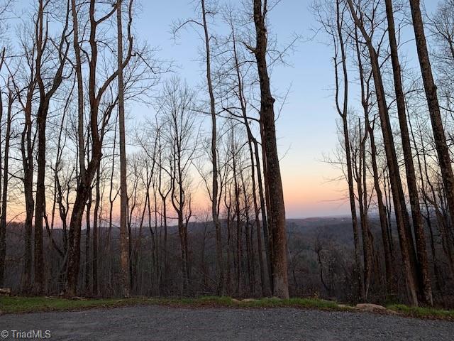 2480 Bethany Church Road Moravian Falls, NC 28654 - Photo 2 of 9