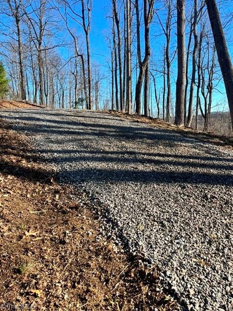 2480 Bethany Church Road Moravian Falls, NC 28654 - Photo 6 of 9