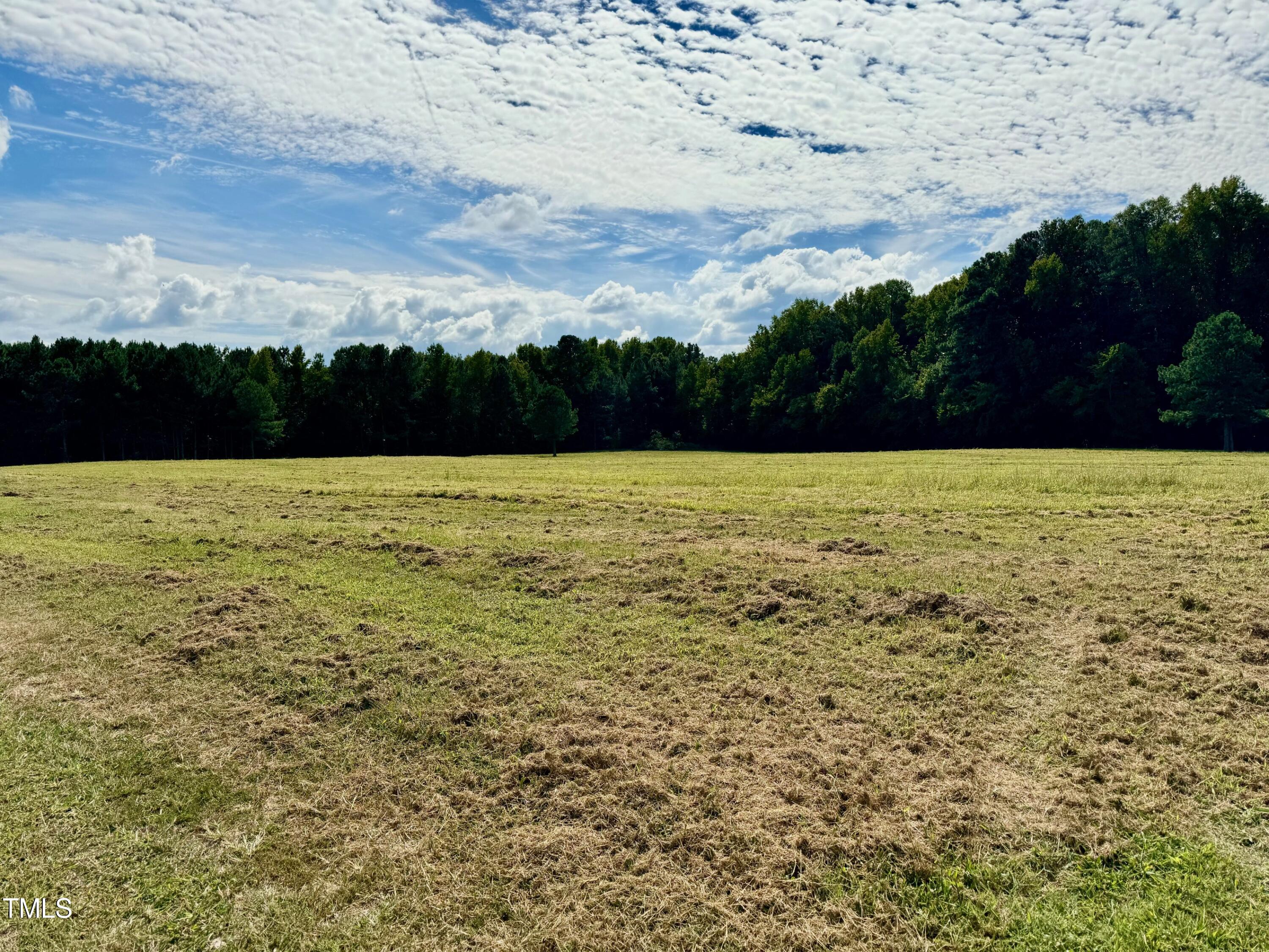 0 Garrett Road Henderson, NC 27537 - Photo 2 of 11 a view of outdoor space with trees