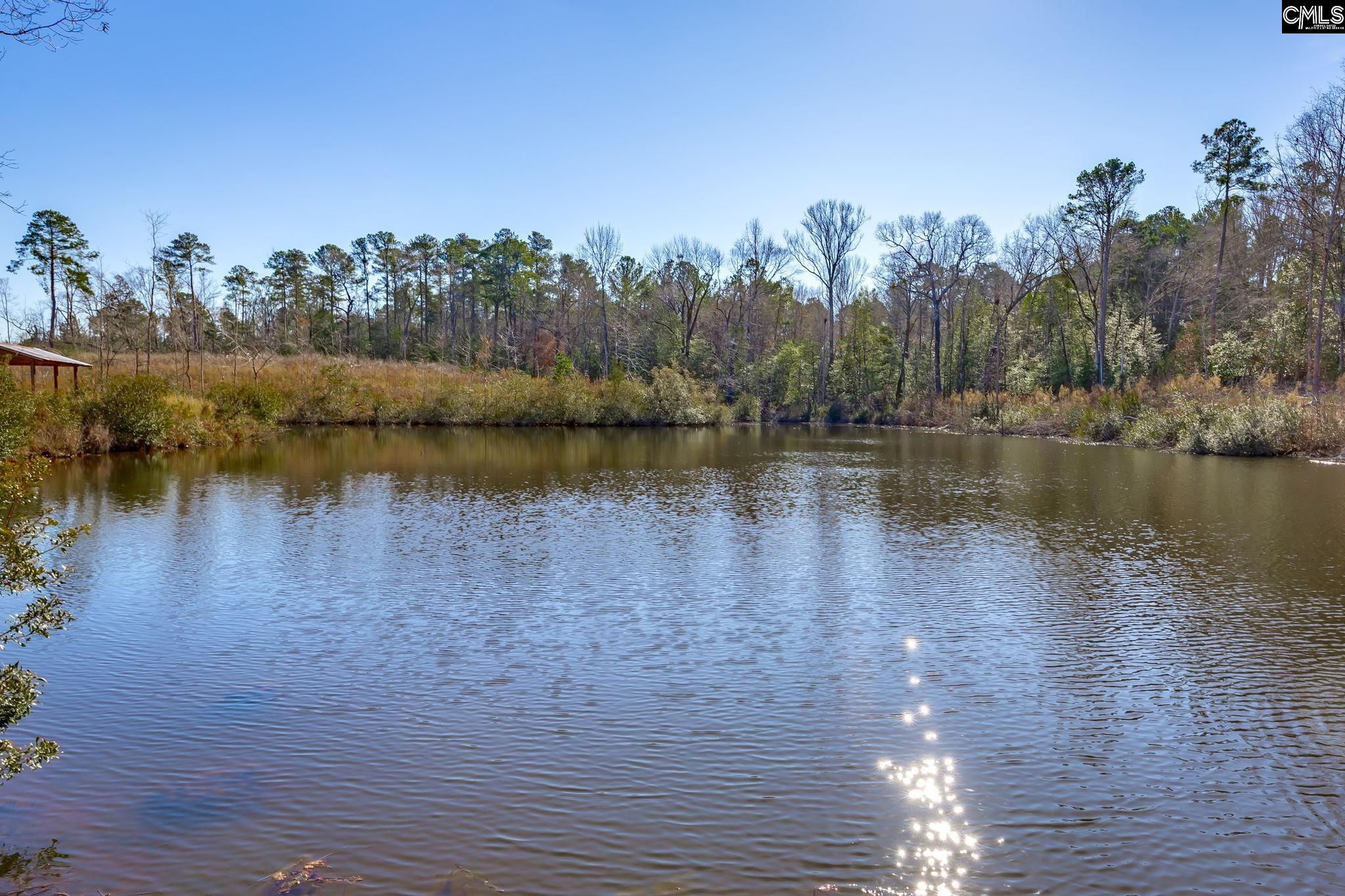 501 Crooked Creek Road Chapin, SC 29036 - Photo 19 of 28