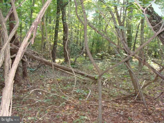 a backyard of a house with lots of green space and chair