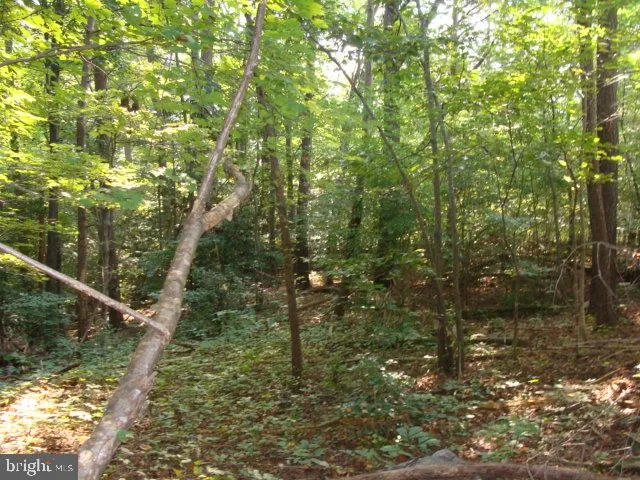 a view of a lake from a balcony