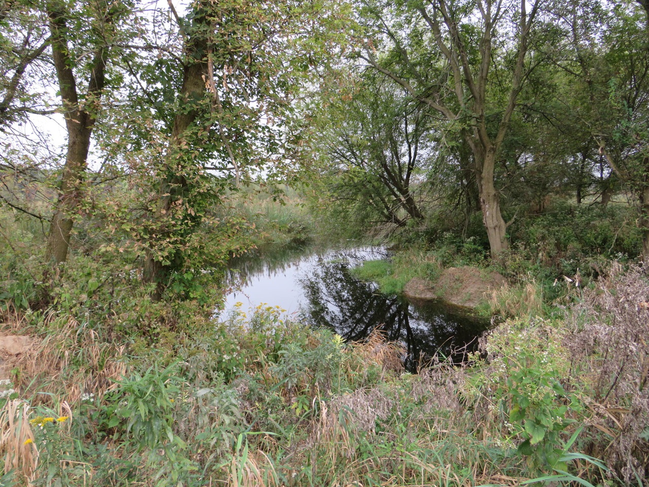 Vl Mcclure Road Eaton Rapids, MI 48827 - Photo 10 of 72