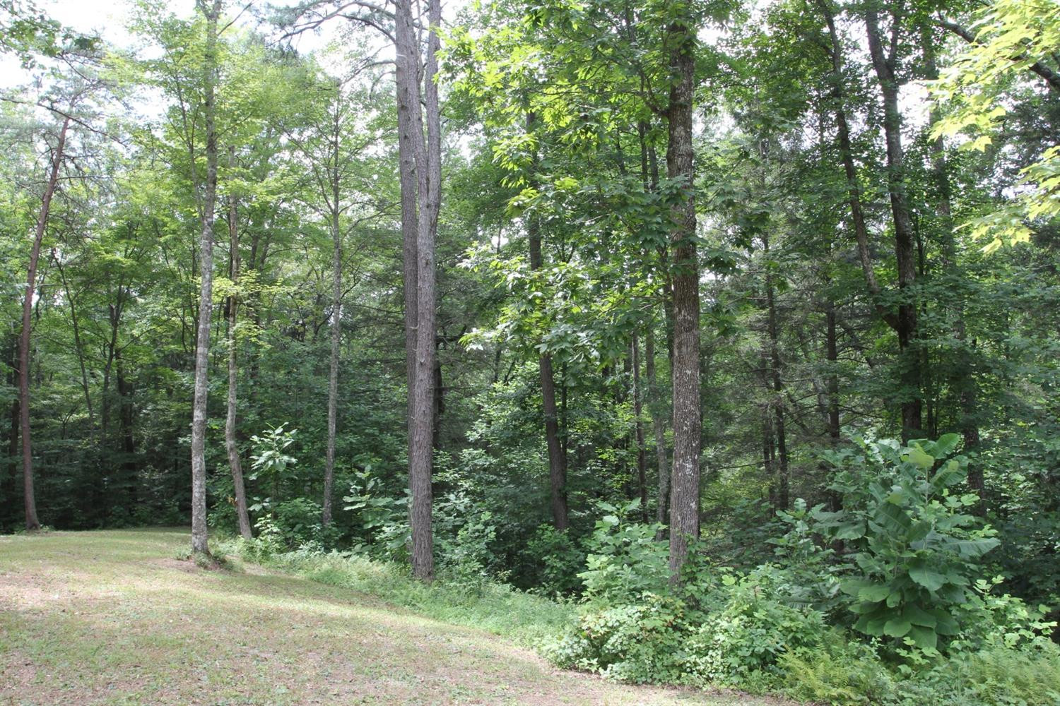 5210 London Dock Road London, KY 40744 - Photo 23 of 73 Listing Photo
