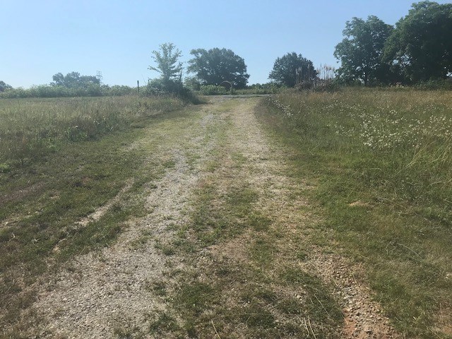 192 State Rd S-42-986 Chesnee, SC 29323 - Photo 15 of 15