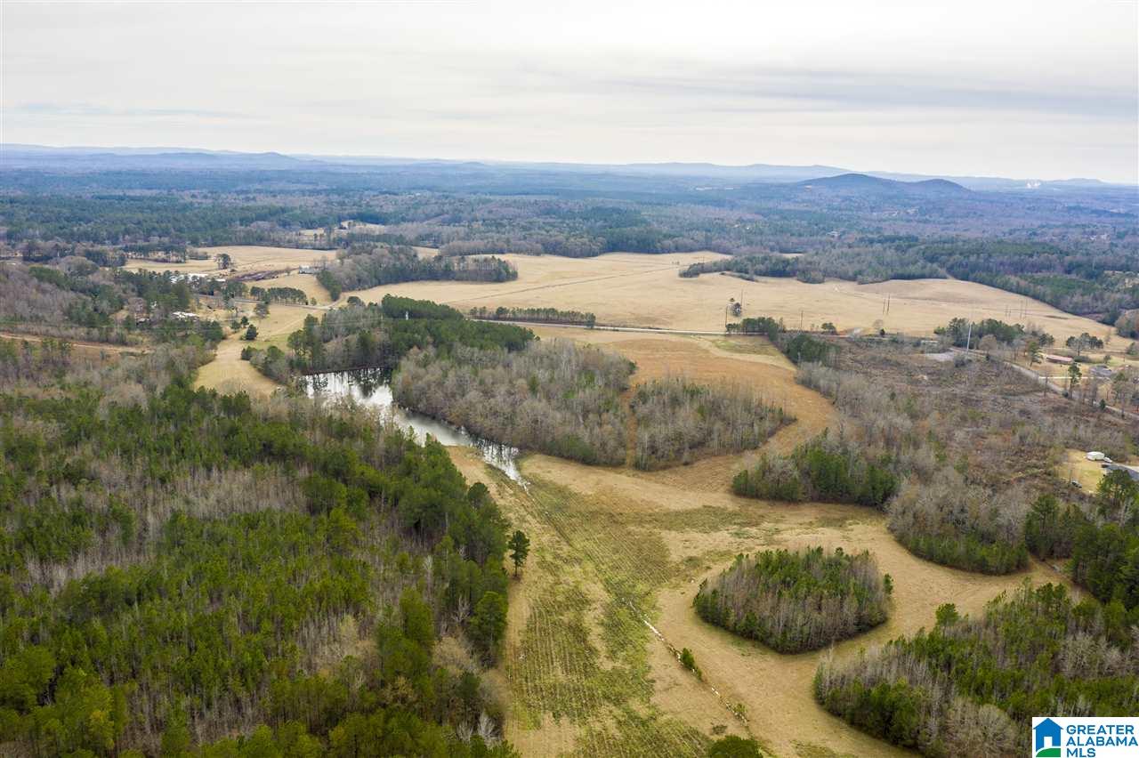 0 Constellation Avenue, Unit 1 Alpine, AL 35014 - Photo 11 of 34