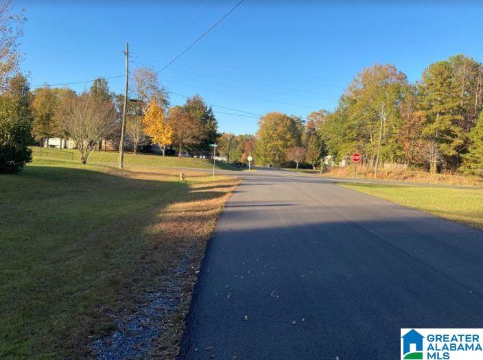 100 Tyler Circle Vincent, AL 35178 - Photo 4 of 23
