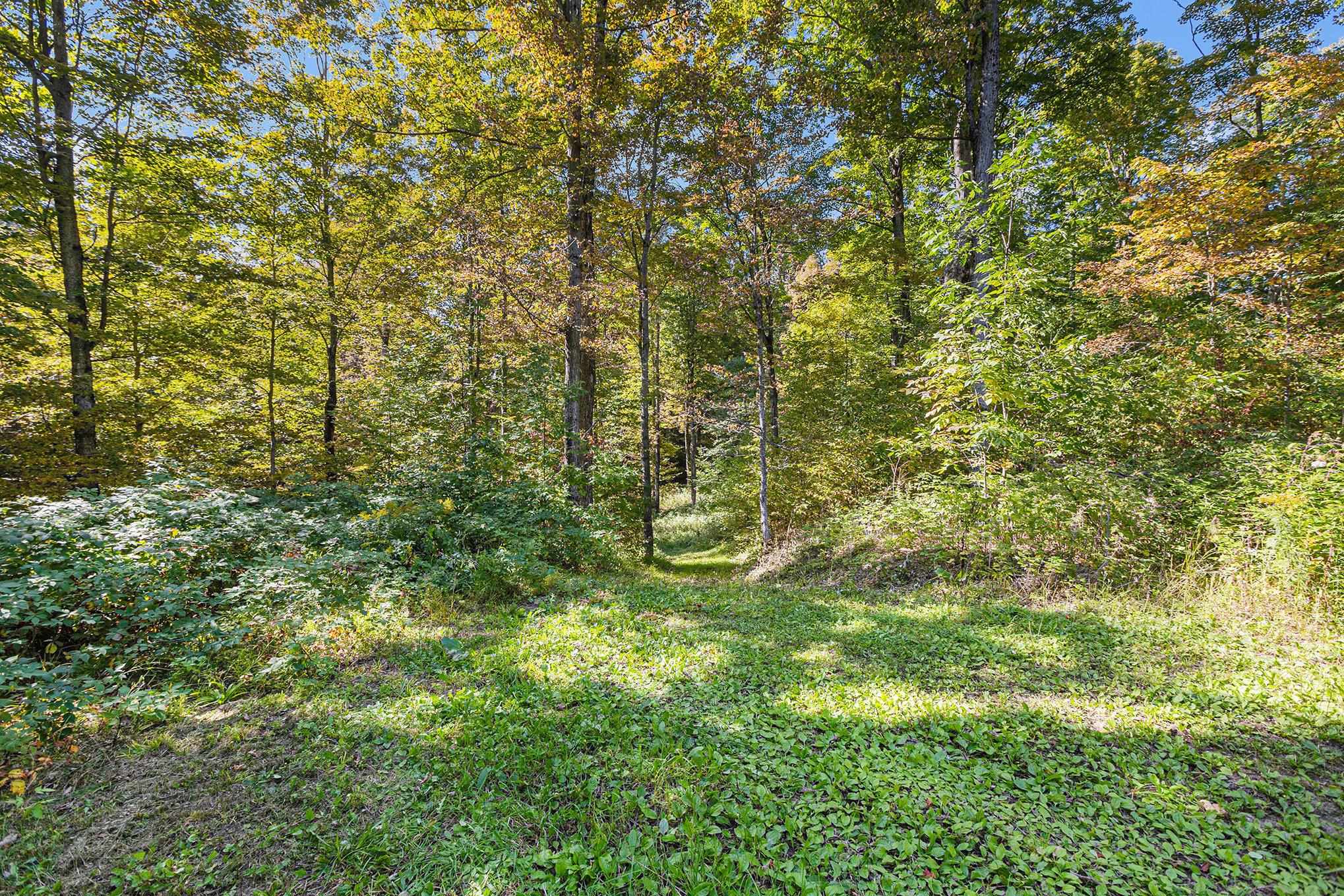 0 Wilson Road Buckley, MI 49620 - Photo 13 of 25