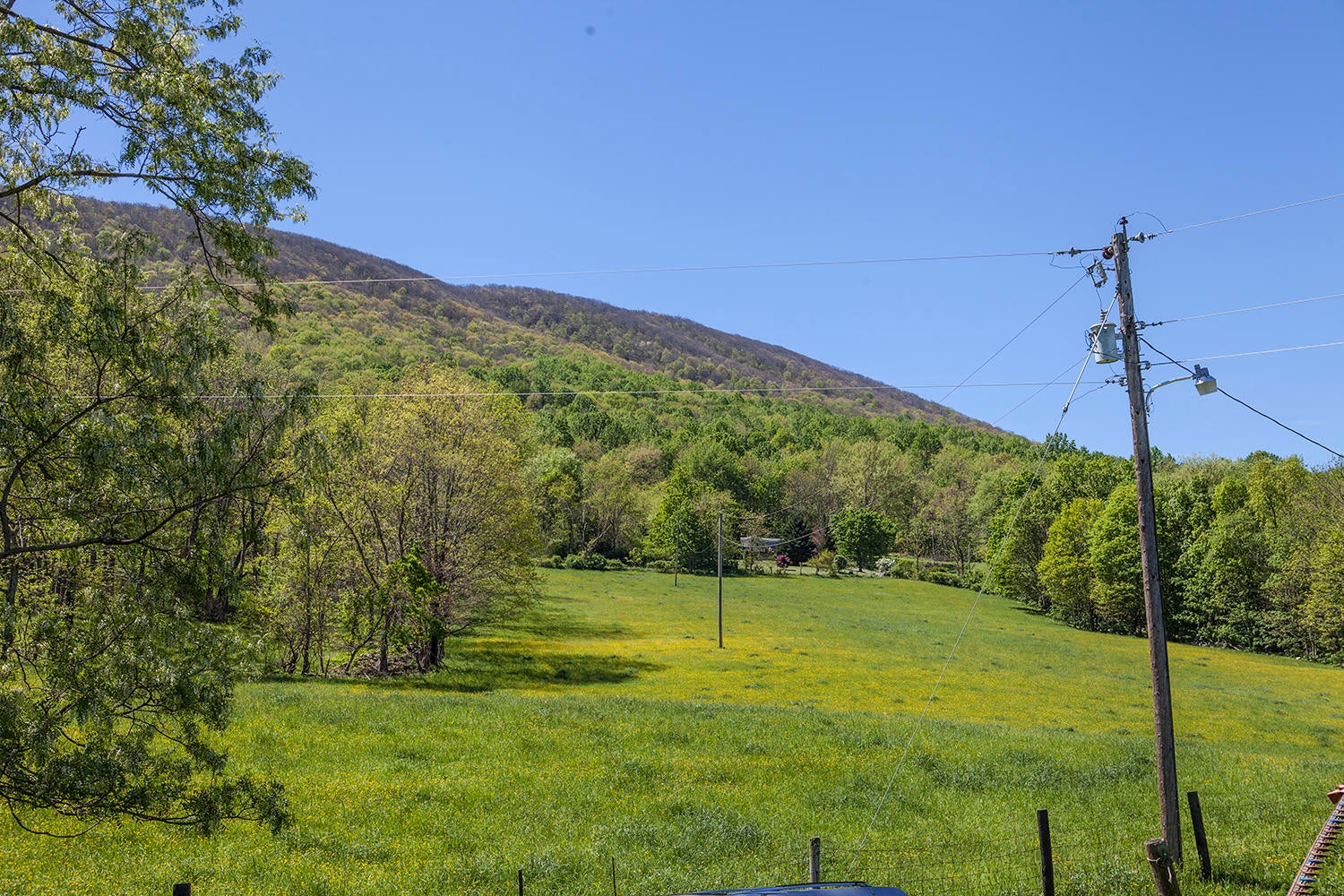 2090 Pete Amos Road Lindside, WV 24951 - Photo 75 of 96 Gallery Image 75