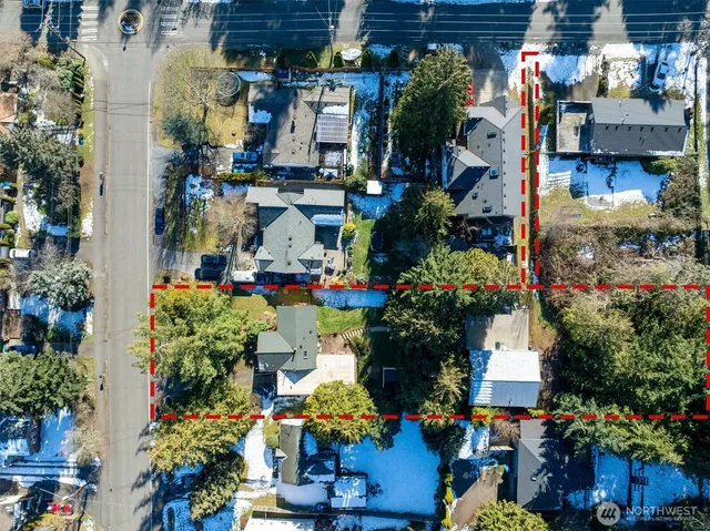 a store filled with lots of different kinds of flowers