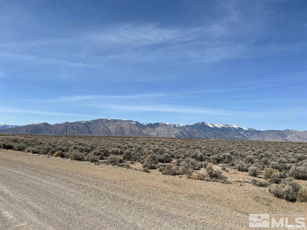 75 Joshua Court Smith, NV 89430 - Photo 2 of 10 Photo 2