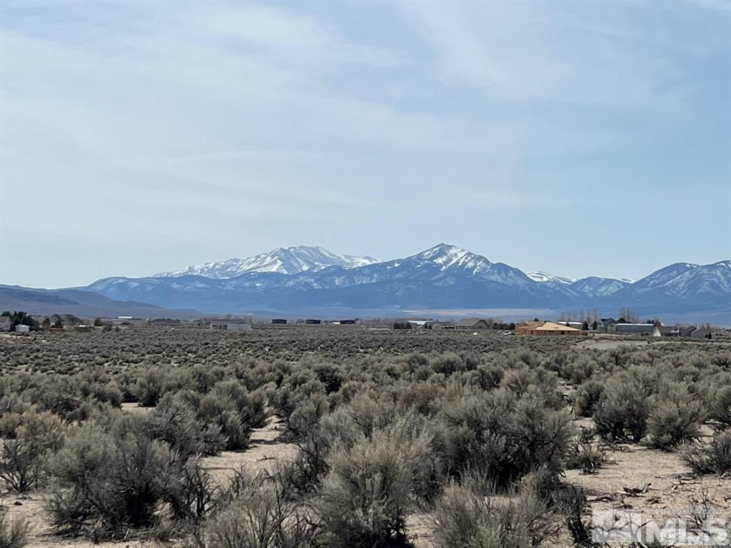 75 Joshua Court Smith, NV 89430 - Photo 9 of 10 Photo 9