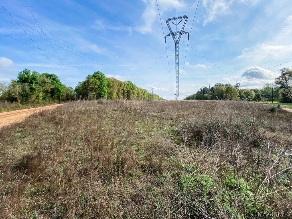 0 Open Pond Road Samson, AL 36477 - Photo 19 of 20 Gallery Image 19