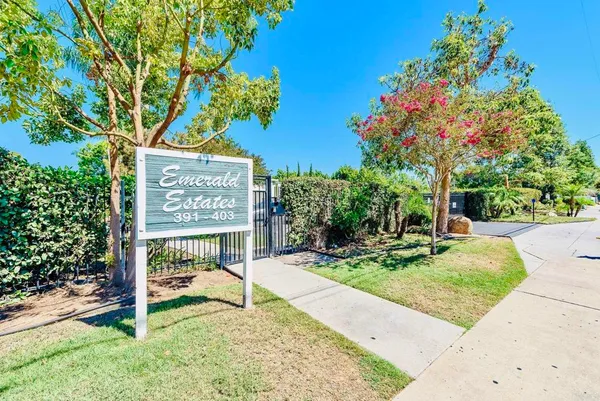 a view of a park with bench and trees