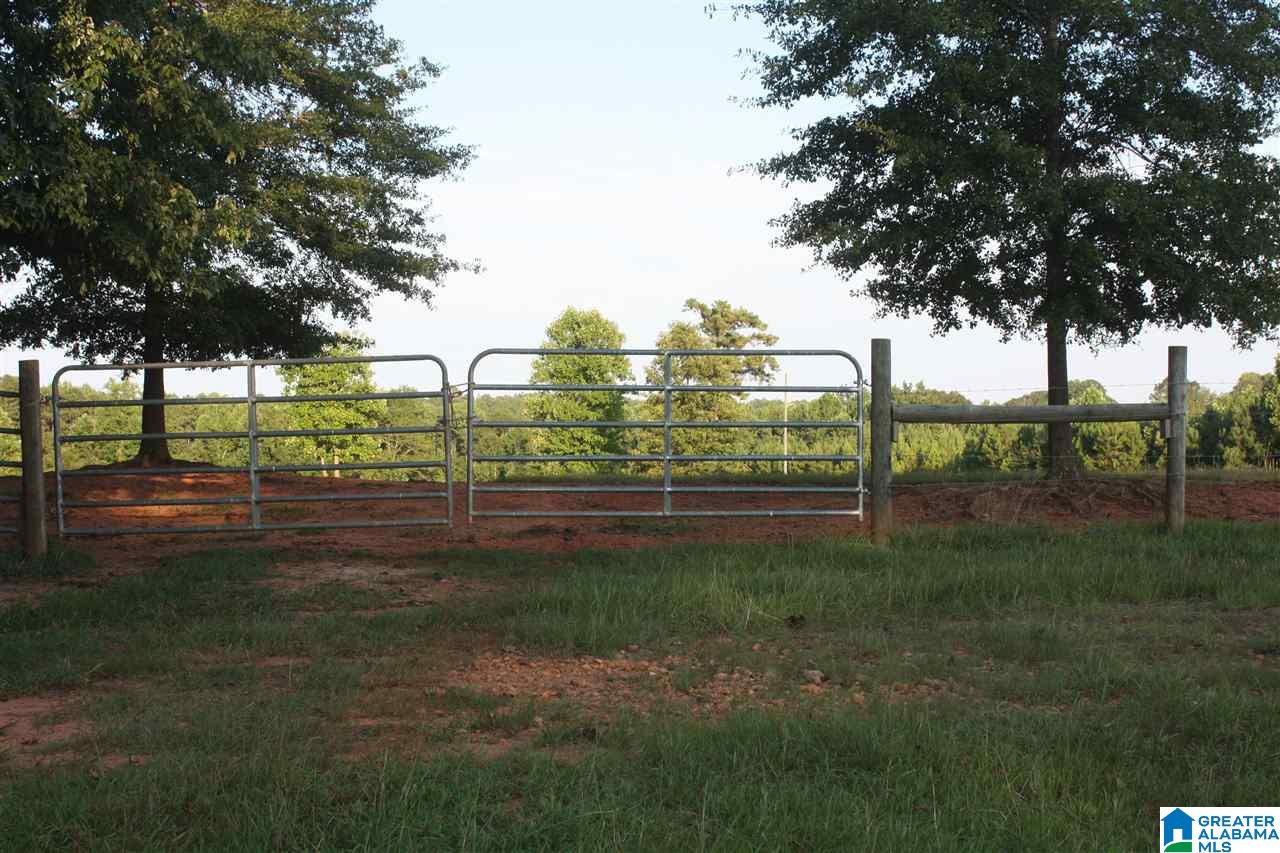 0 Louina Road Roanoke, AL 36274 - Photo 20 of 33