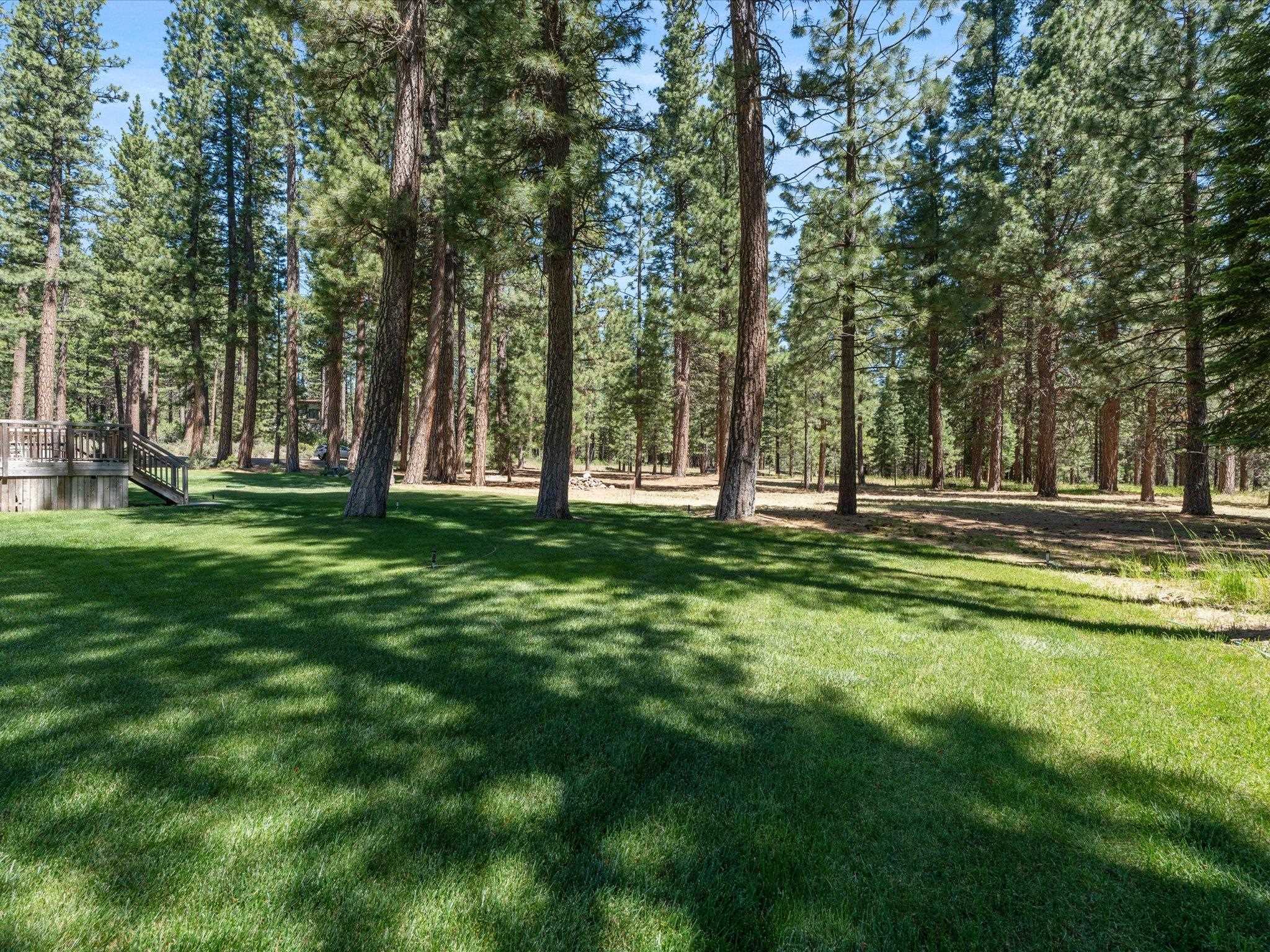 97 Main Street Calpine, CA 96124 - Photo 11 of 43 a view of park with trees
