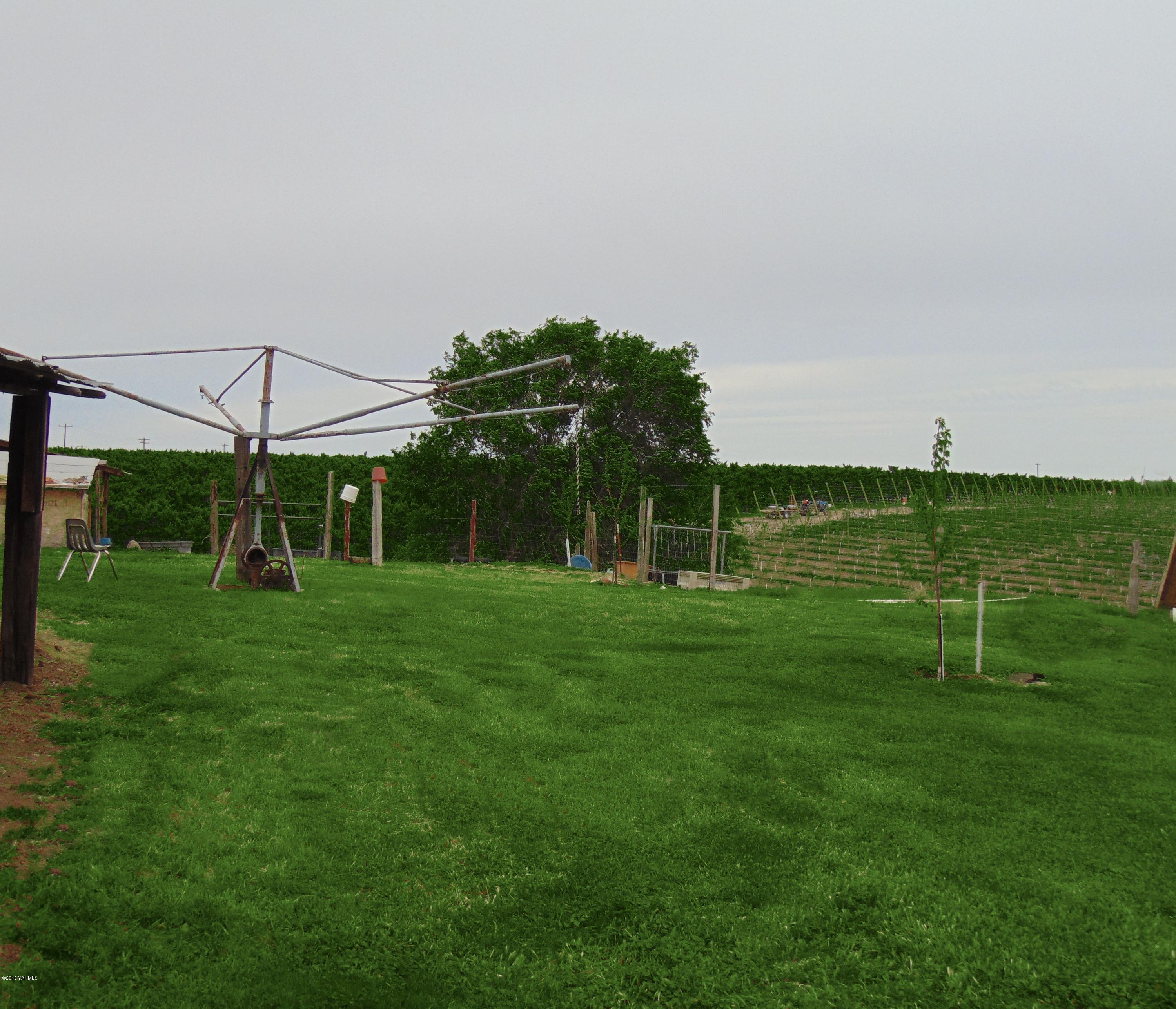 1520 Houghton Road Zillah, WA 98953 - Photo 11 of 15 a view of a park with a big yard
