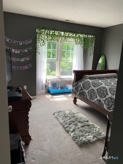 380 Hitchcock Road, Unit 6 Waterbury, CT 06705 - Photo 27 of 31