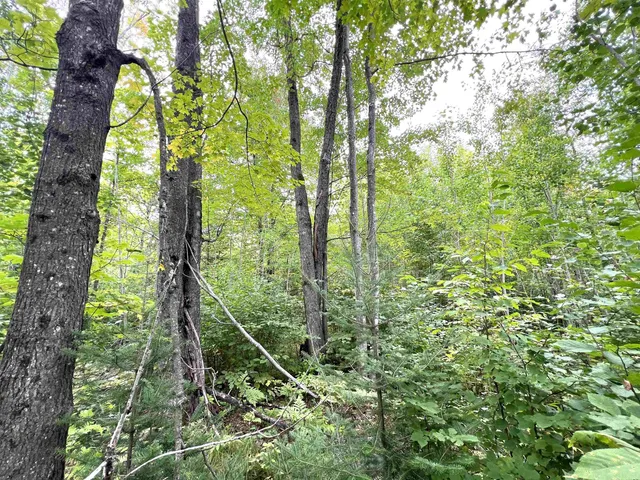$49,900 | 5.56-acres 5.56-acres On Star Lake, Crandon, WI 54520