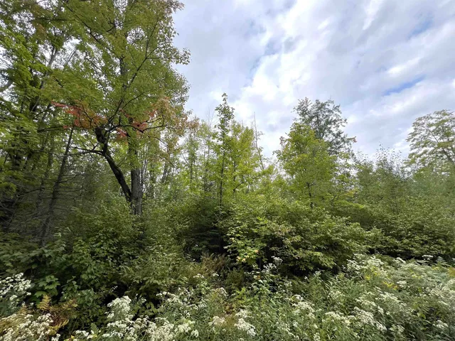 $49,900 | 5.56-acres 5.56-acres On Star Lake, Crandon, WI 54520