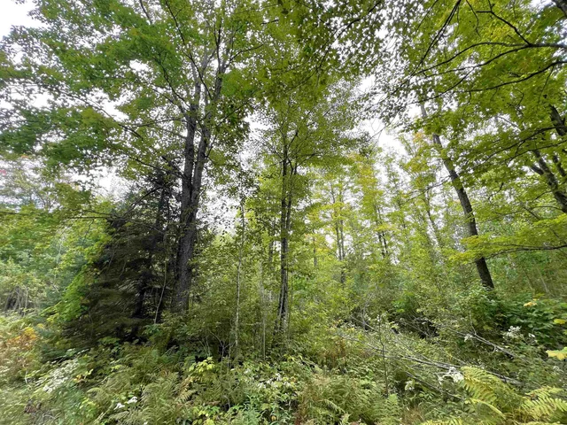 $49,900 | 5.56-acres 5.56-acres On Star Lake, Crandon, WI 54520