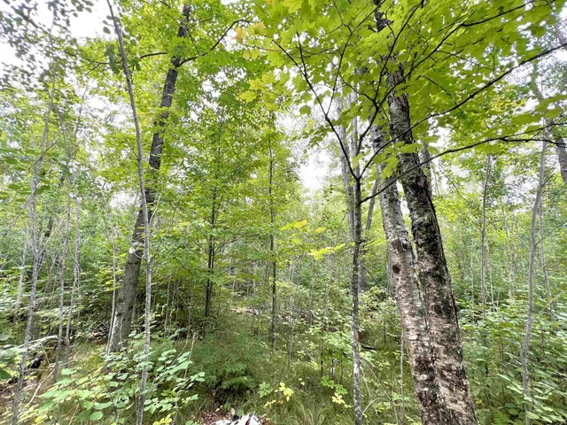 $49,900 | 5.56-acres 5.56-acres On Star Lake, Crandon, WI 54520