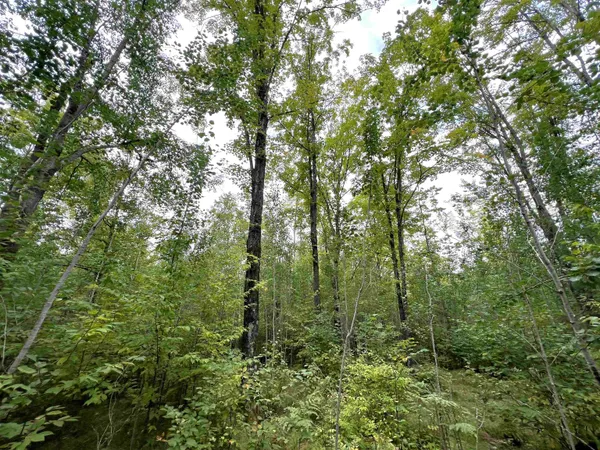 $44,900 | 5.56-acres 5.56-acres On Star Lake, Crandon, WI 54520