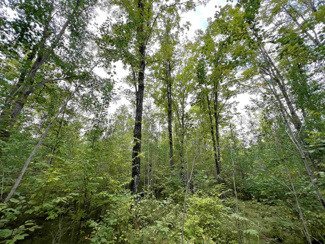 $49,900 | 5.56-acres 5.56-acres On Star Lake, Crandon, WI 54520