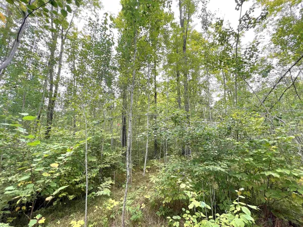 $44,900 | 5.56-acres 5.56-acres On Star Lake, Crandon, WI 54520