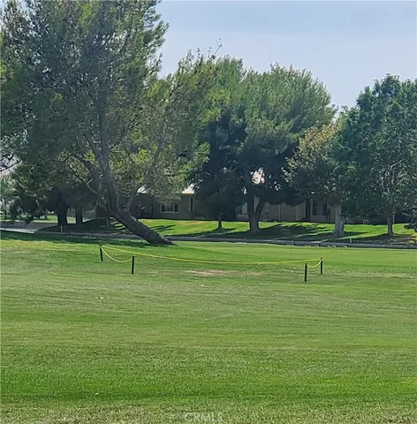 a view of a park with trees