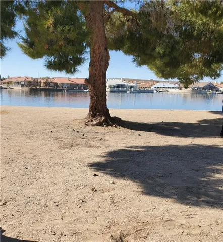 a view of a lake with a tree