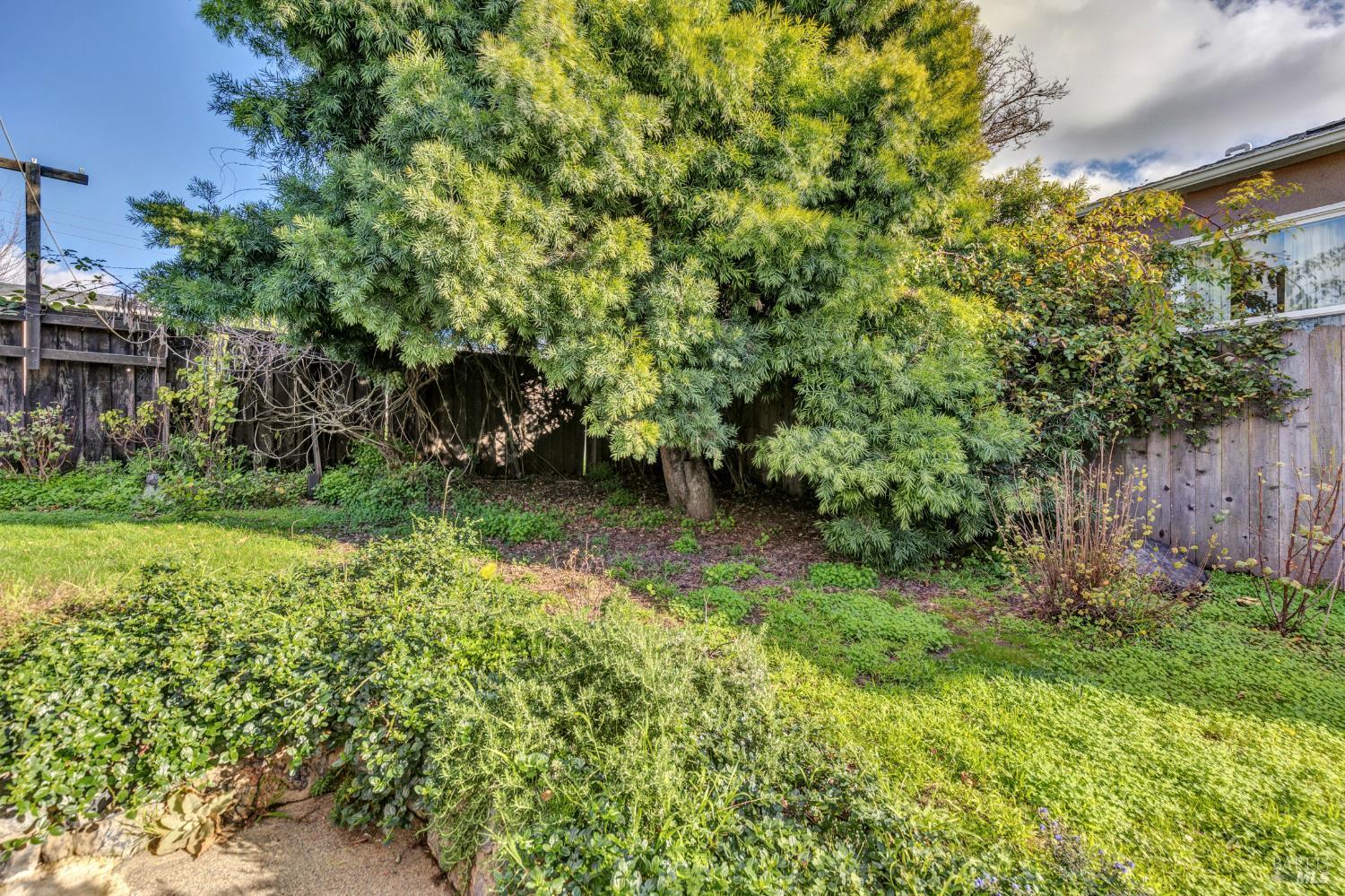 634 Elm Street El Cerrito, CA 94530 - Photo 18 of 41