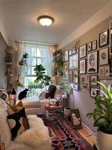 a living room with furniture and a potted plant