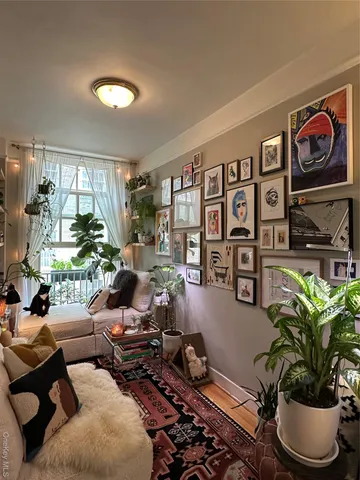 a living room with furniture and potted plant