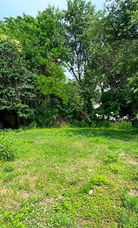 1276 Page Boulevard Springfield, MA 01104 - Photo 4 of 4 a view of yard with green space