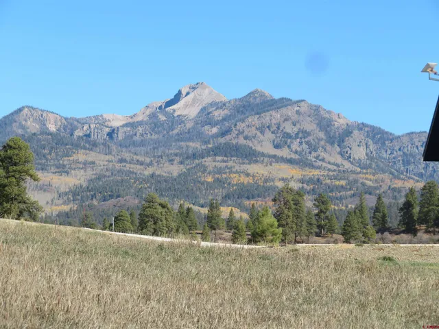 a view of a dry yard with mountains in the background