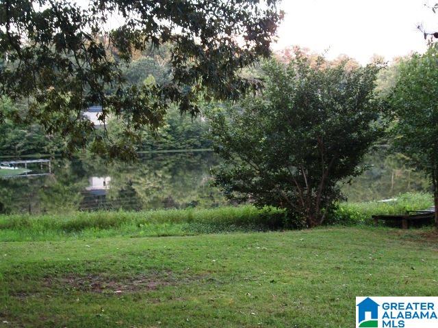 95 Blackjack Road Trussville, AL 35173 - Photo 20 of 21