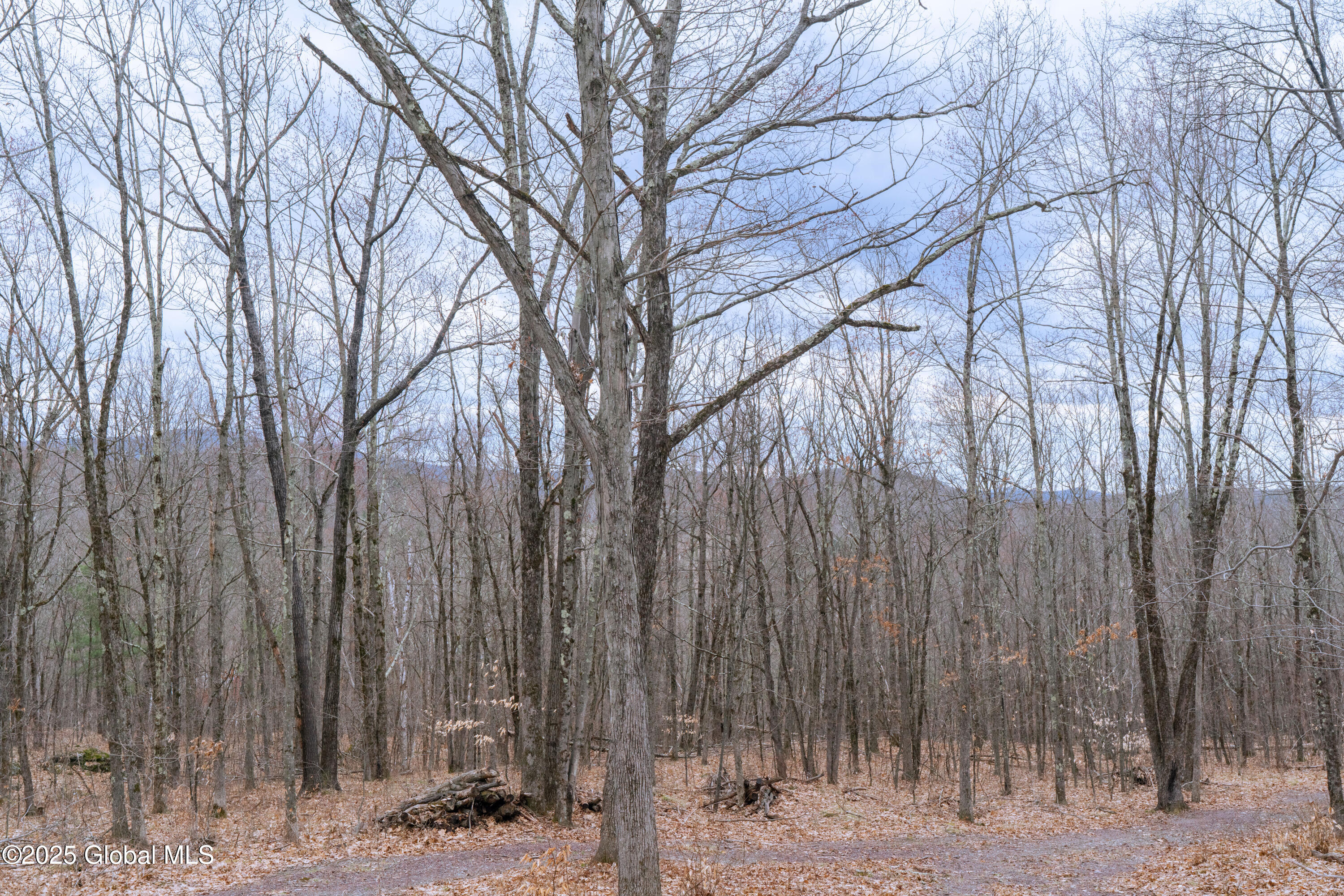 52 Oakhill Road Granville, NY 12832 - Photo 29 of 35 DSC03859